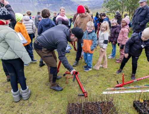 Gróðursetningardagur í Grundarfirði